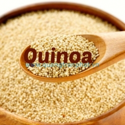 Quinoa là nguyên liệu để làm bánh quy ngon hơn
